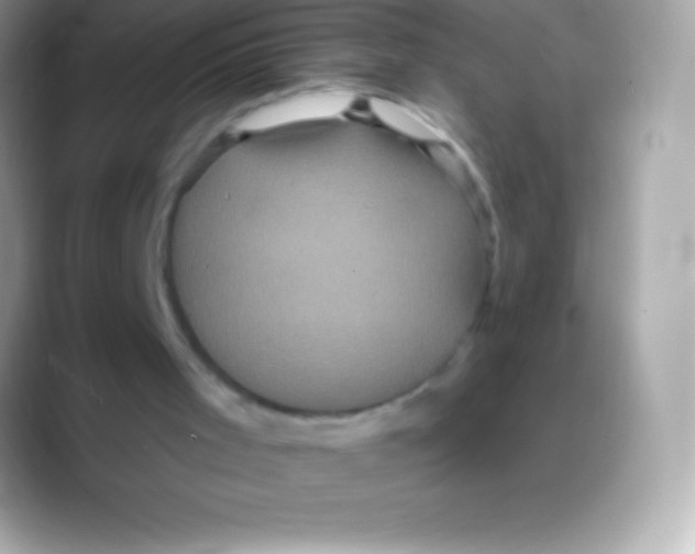 X0000088140001200706041345