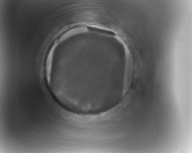 X0000088140002200706041345