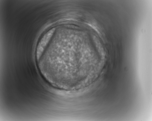 X0000088140003200706041345