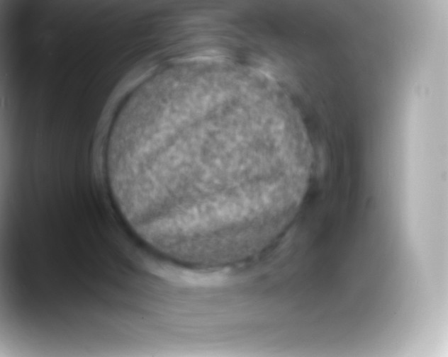 X0000088140004200706041345