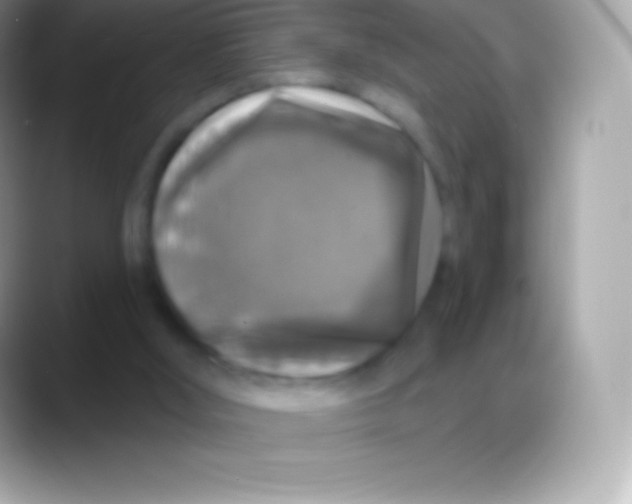 X0000088140012200706041345