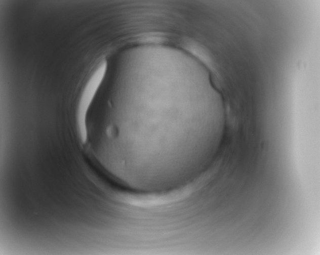 X0000088140013200706041345