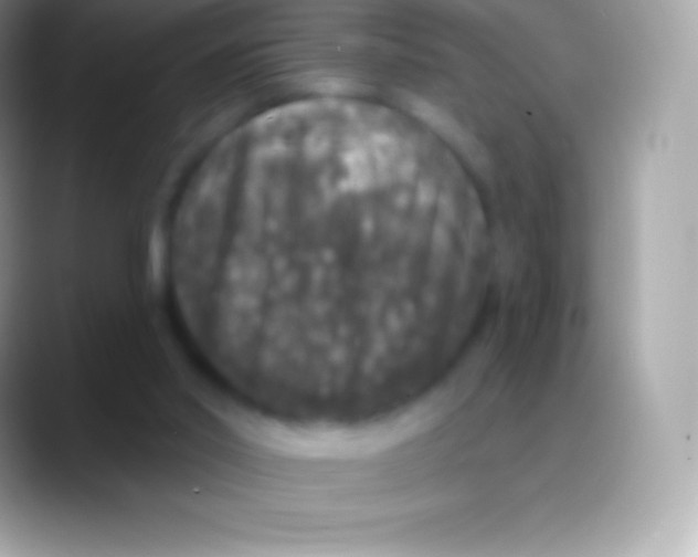 X0000088140014200706041345