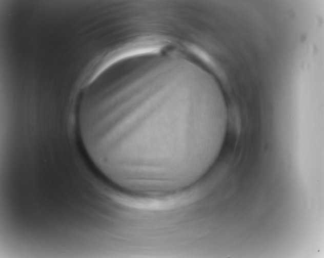 X0000088140015200706041345