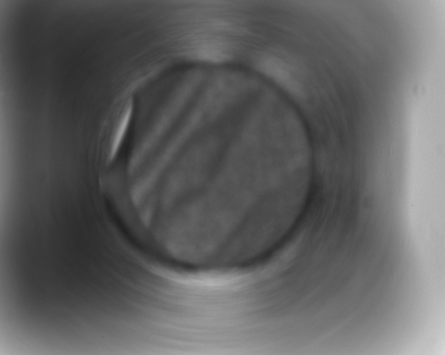 X0000088140020200706041345