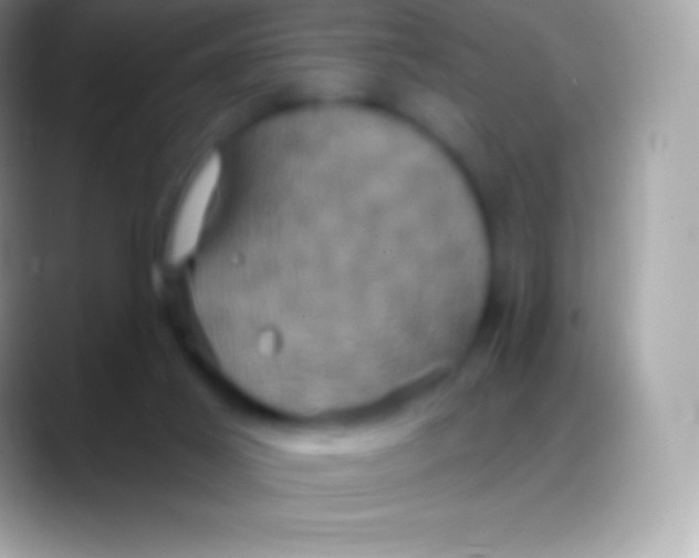 X0000088140021200706041345