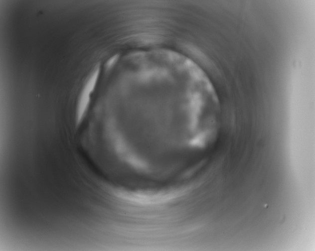 X0000088140022200706041345