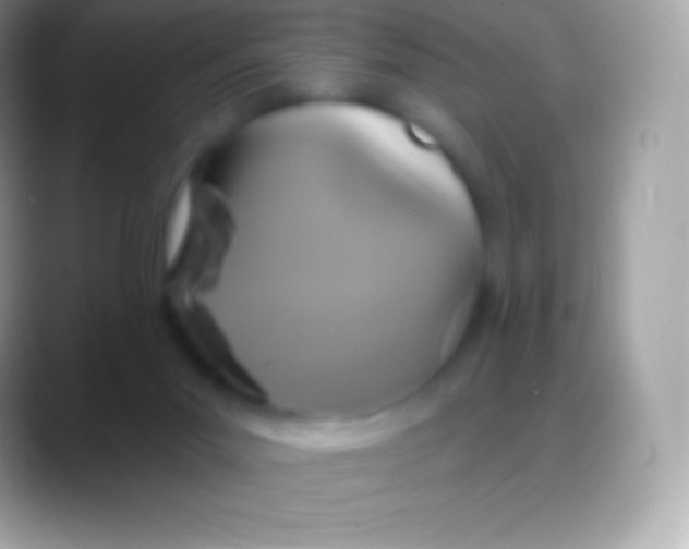 X0000088140023200706041345