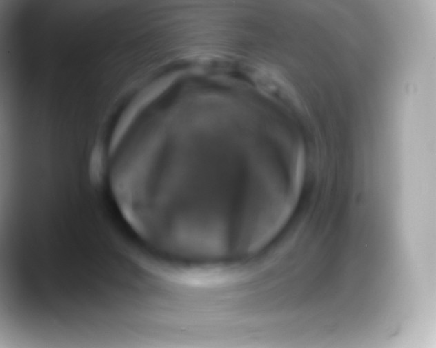 X0000088140024200706041345