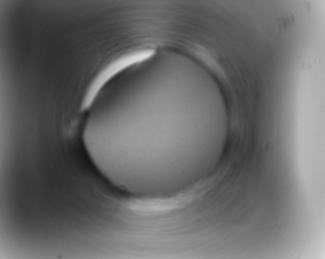 X0000088140025200706041345