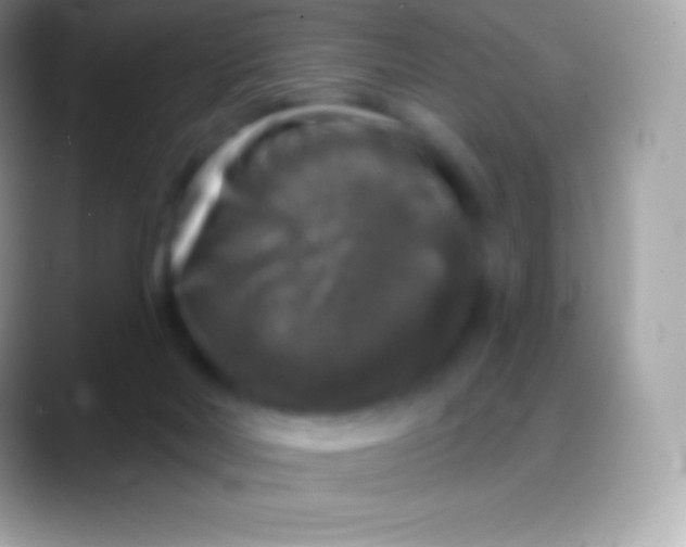 X0000088140026200706041345