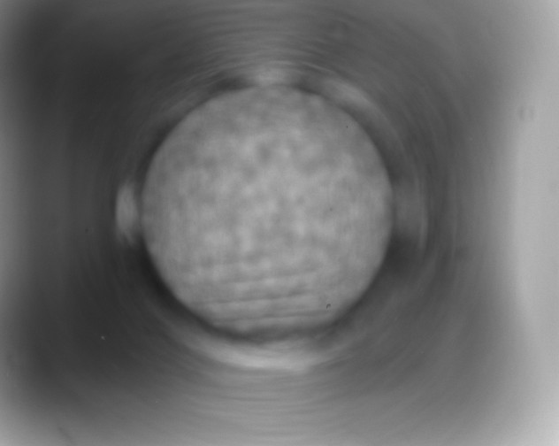 X0000088140028200706041345