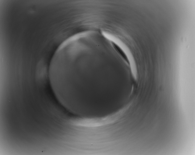 X0000088140029200706041345