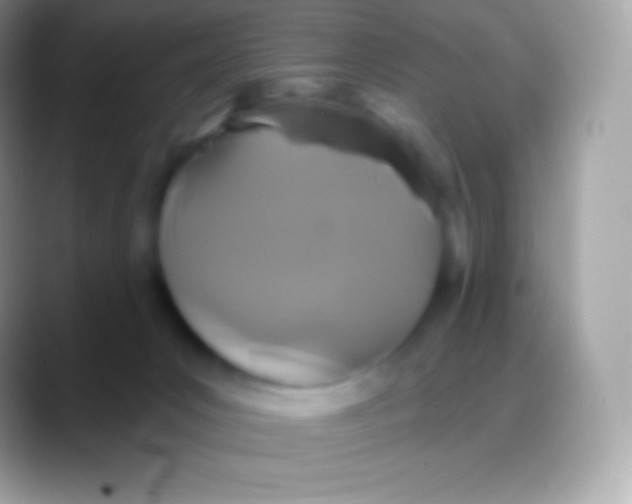 X0000088140031200706041345