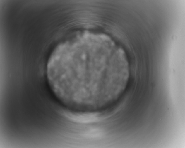 X0000088140032200706041345