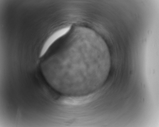 X0000088140033200706041345