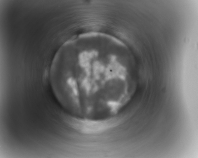 X0000088140034200706041345