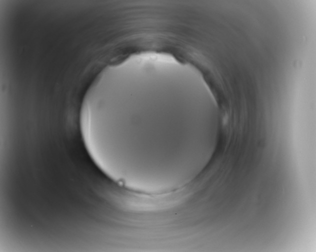 X0000088140035200706041345