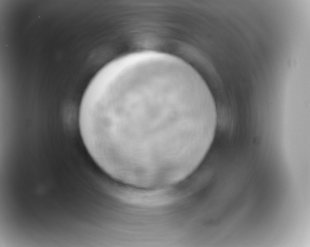 X0000088140036200706041345