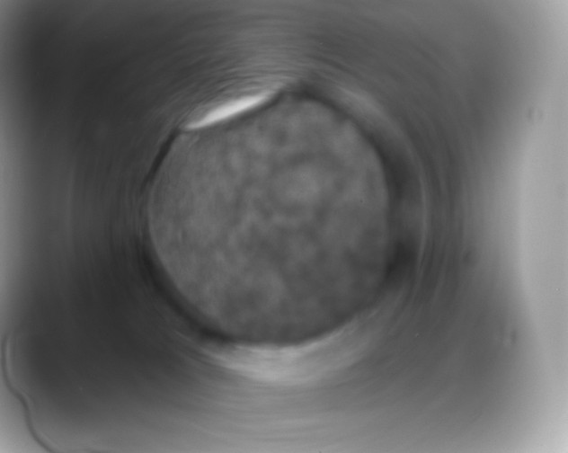 X0000088140037200706041345