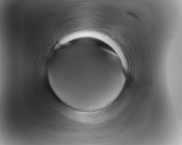 X0000088140039200706041345