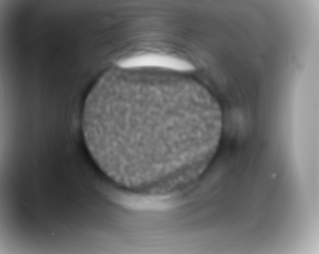 X0000088140040200706041345