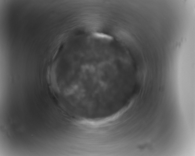 X0000088140041200706041345