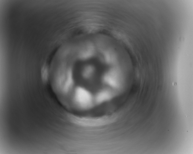 X0000088140042200706041345