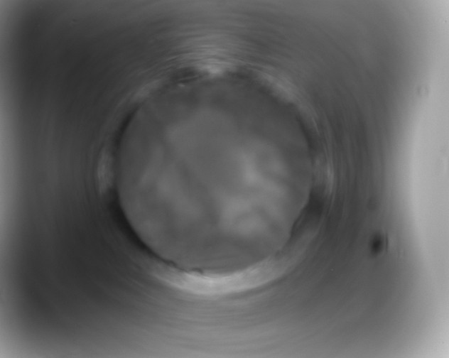 X0000088140043200706041345