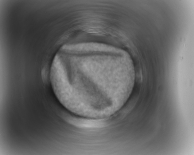 X0000088140044200706041345