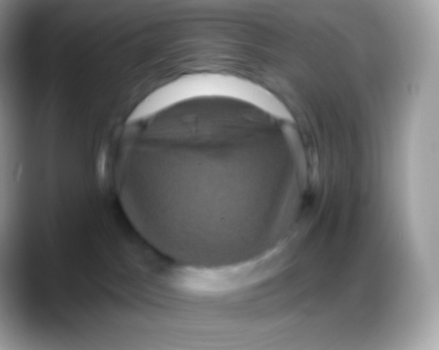 X0000088140045200706041345