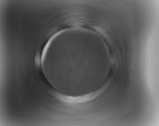 X0000088140046200706041345