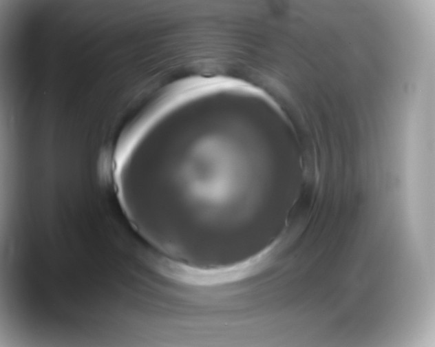 X0000088140047200706041345