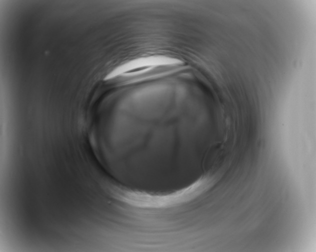 X0000088140048200706041345