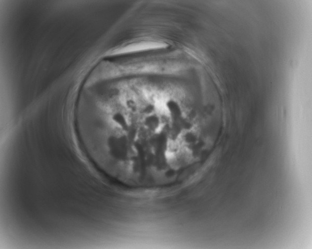 X0000088140049200706041344