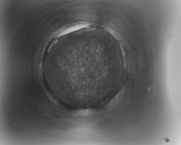 X0000088140050200706041344