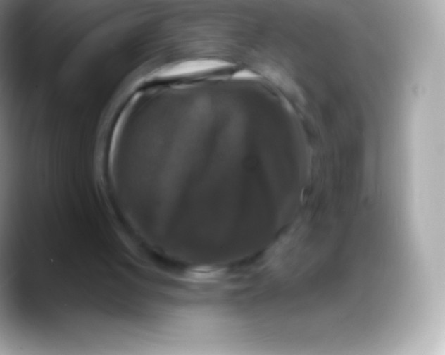 X0000088140051200706041344