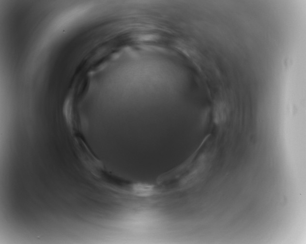 X0000088140052200706041344