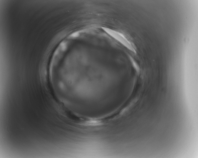 X0000088140053200706041344