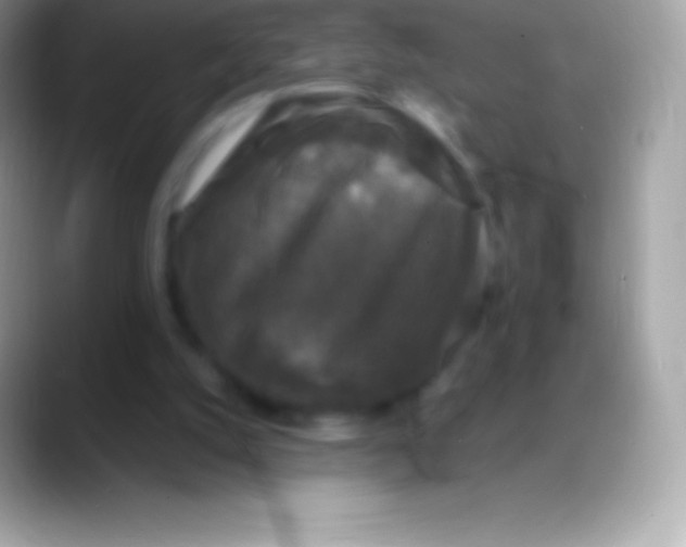 X0000088140056200706041344