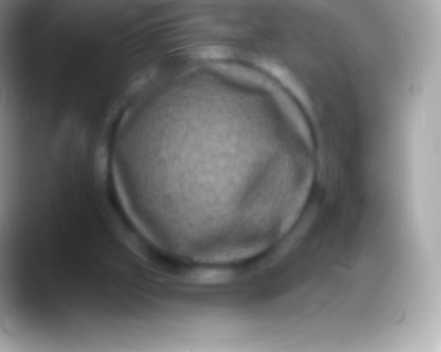 X0000088140057200706041344