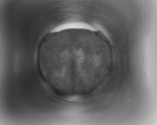 X0000088140058200706041344