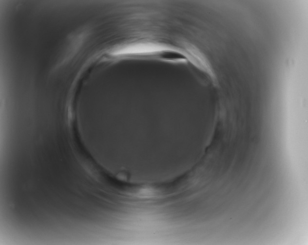 X0000088140059200706041344