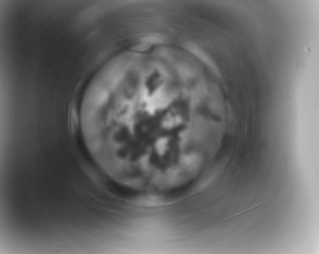 X0000088140061200706041344