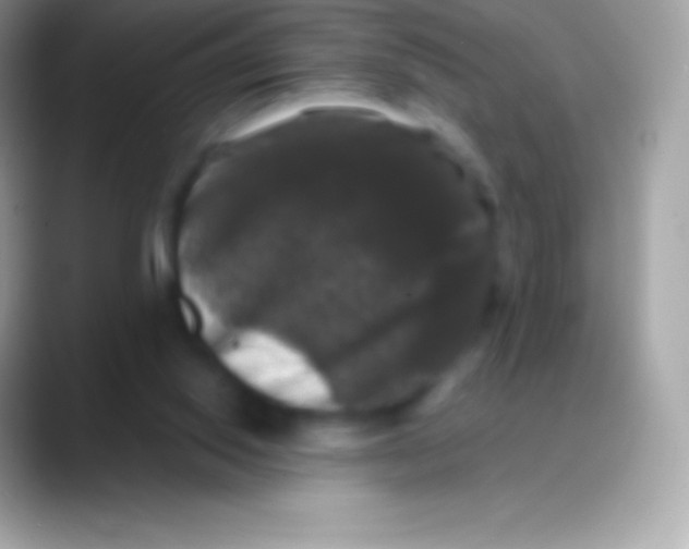 X0000088140062200706041344