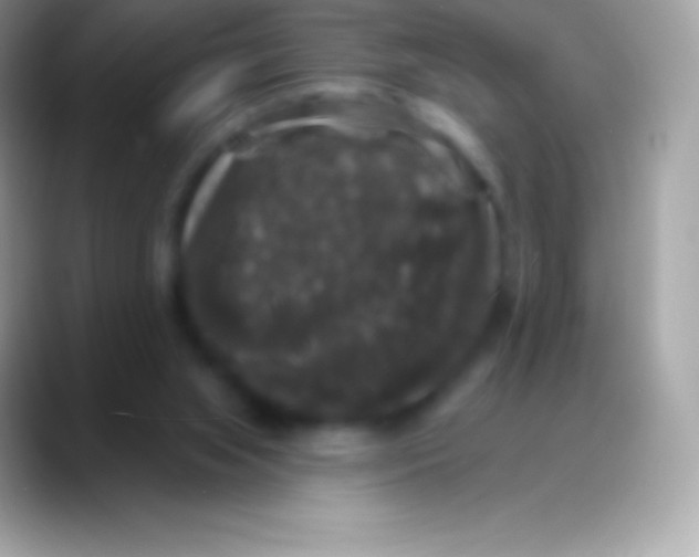 X0000088140063200706041344