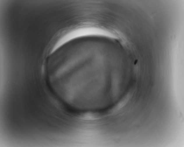 X0000088140064200706041344