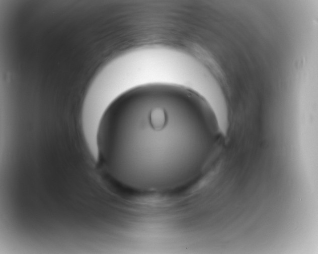 X0000088140065200706041344