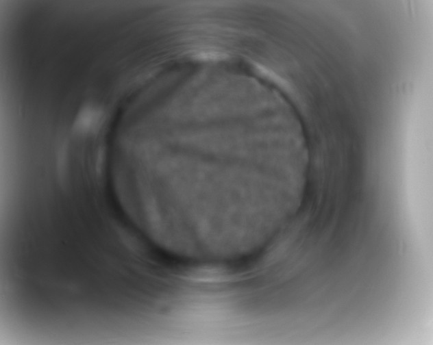 X0000088140066200706041344