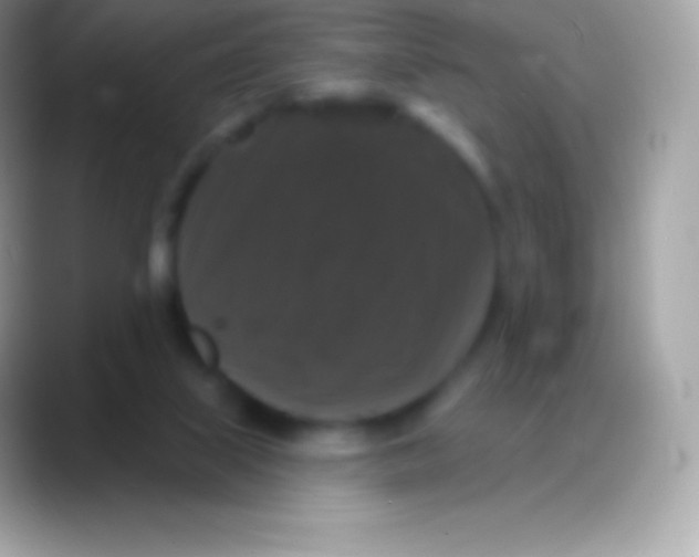 X0000088140067200706041344